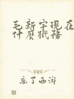 毛新宇现在任职什么职务