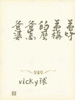 爸爸的弟弟的老婆怎么称呼