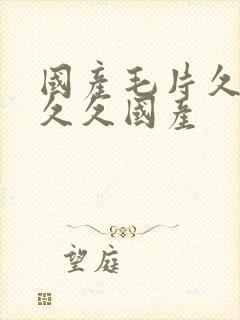 国产毛片久久久久久国产