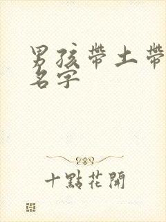 男孩带土带金的名字