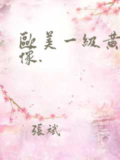 欧美一级黄色录像.