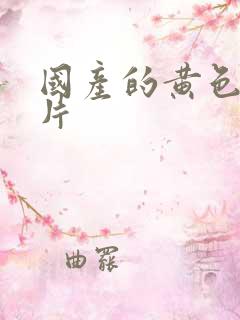 国产的黄色一级片