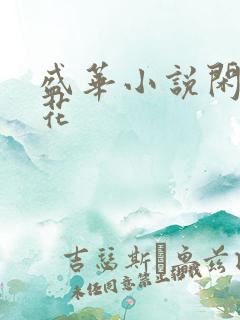 盛华小说闲听落花