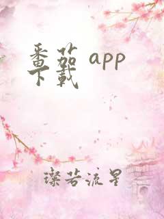 番茄 app 下载