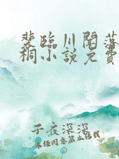 裴临川闻落宋雨桐小说免费阅读