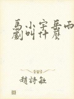 马小宇岳雨婷短剧叫什么