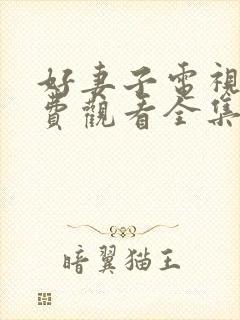 好妻子电视剧免费观看全集西瓜