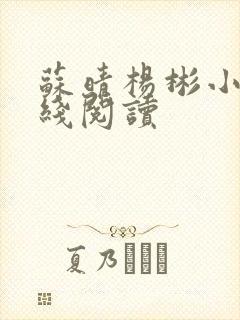 苏晴杨彬小说在线阅读