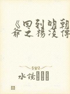 《回到明朝当王爷之杨凌传》