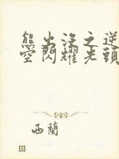 熊出没之逆转时空闪耀光头强