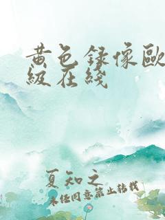 黄色录像欧美特级在线