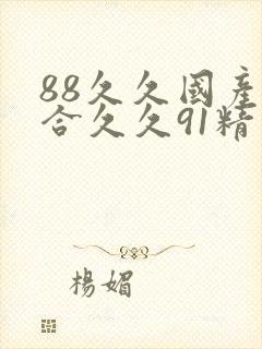 88久久国产综合久久91精品