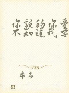 你说的你爱我你不知道我要的是什么