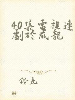 40集电视连续剧于成龙