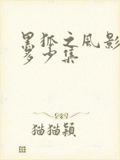 黑狐之风影共有多少集