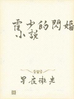 霍少的闪婚暖妻 小说