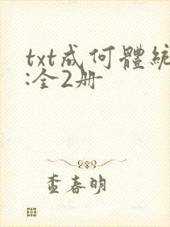 txt成何体统:全2册