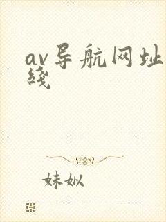 av导航网址在线