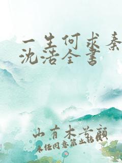 一生何求秦菲雪沈浩全书