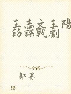 王志文王阳主演的谍战剧