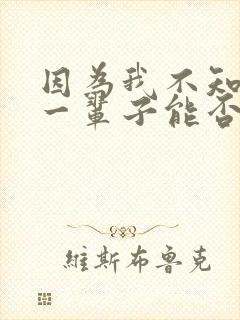 因为我不知道下一辈子能否遇到你歌词