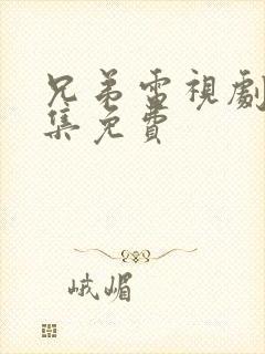 兄弟电视剧40集免费