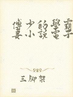 傅少的学霸小甜妻小说电子版txt