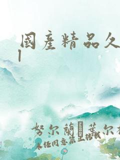 国产精品久久久l