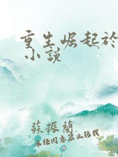 重生崛起于香江 小说