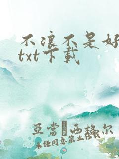 不浪不是好导演txt下载