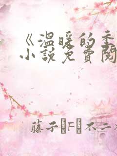 《温暖的季风》小说免费阅读