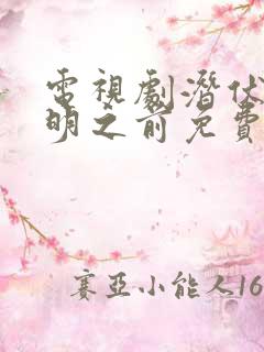 电视剧潜伏在黎明之前免费看