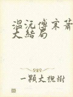 温沅傅寒萧小说大结局