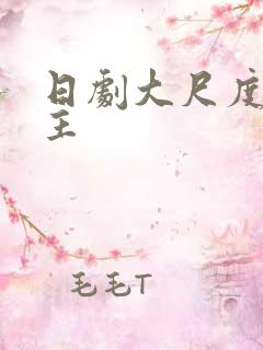 日剧大尺度双男主