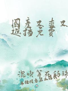 国产又爽又黄无遮挡免费