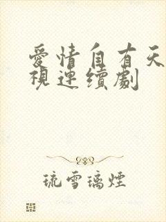 爱情自有天意电视连续剧