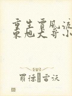 重生贾风流家成东旭大哥小说