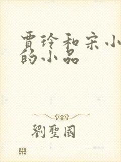 贾玲和宋小宝演的小品