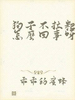 狗子不拉粑粑是怎么回事呀