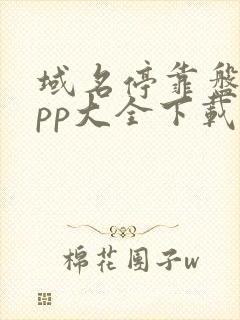 域名停靠盘他app大全下载2024入口