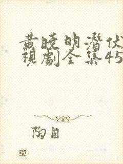 黄晓明潜伏者电视剧全集45集