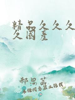 精品久久久久久久国产