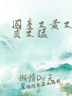 国产又黄又粗又爽又猛