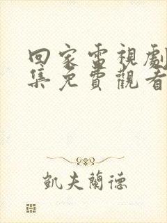 回家电视剧40集免费观看