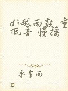 dj越南鼓 重低音 慢摇