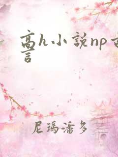 高h小说np古言