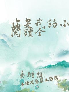 你是我的小确幸阅读全