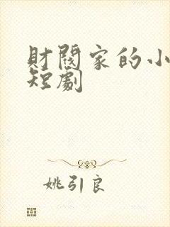 财阀家的小儿子短剧