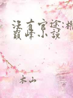 没有官途:权力巅峰小说