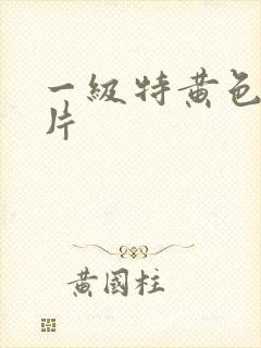 一级特黄色录像片